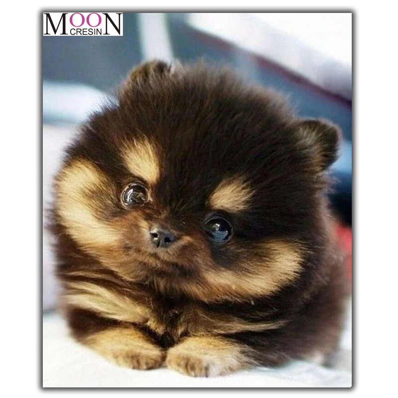 

MOONCRESIN Diamond Painting Cross Stitch Cute Fat Dog Animal Diy Diamond Embroidery Full Round 3D Diamond Mosaic Decoration Gift