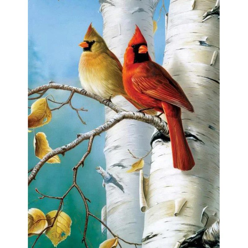 

Full Square/Round DIY Diamond Embroidery Bird couple 5D Diamond Painting Rhinestone Mosaic Decor HYY