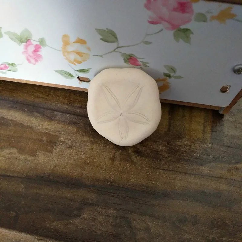 HappyKiss 2 шт./лот) бежевый белый морской Ежи натуральная раковина раковины пляжное свадебное украшение прибрежный дом украшение Морская звезда