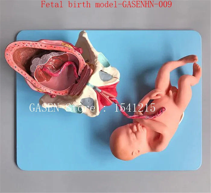 Срочная доставка плода роды беременности акушерство обучение гинекологии