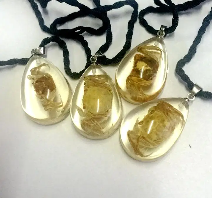 12 pcs lucid mini style drop real crab insect chic pendant | Украшения и аксессуары