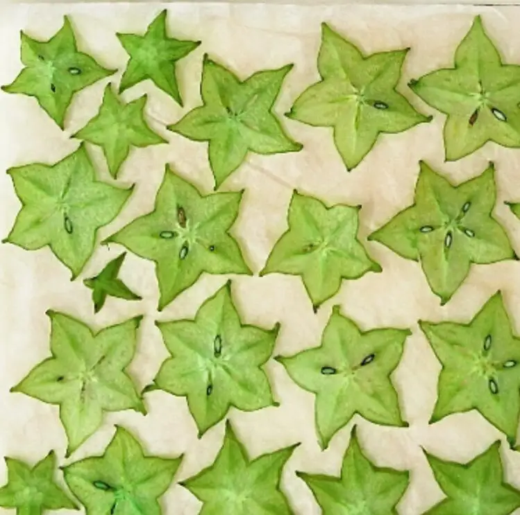 Green 10 шт. сушеные прессованные Exopy окрашенные Carambola фрукты ломтики гербарий из растений для фоторамки чехол для телефона Закладка скрапбук ремесло DIY - Цвет: Green