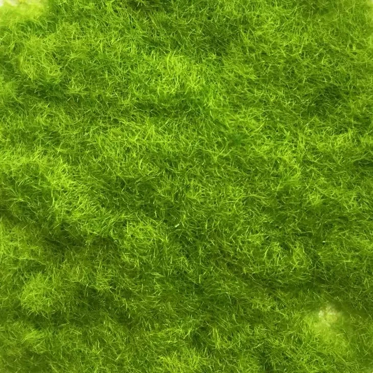 Light Green 100 г 3 мм статическая травяная шкала поезд железнодорожная планировка Миниатюрная модель строительные материалы статические флокированные волокна вискоза трава порошок - Цвет: Light Green