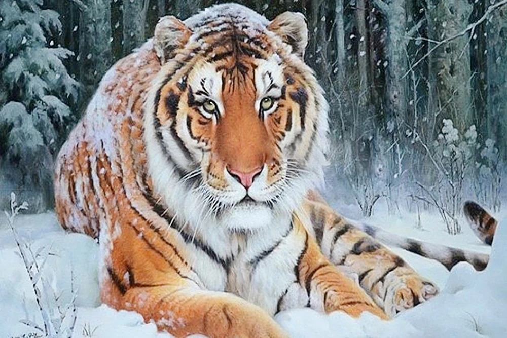 3D Diy Diamond Painting Tiger Snow Cross Stitch Square Diamonds Kits Embroidery Full Mosaic House Decoration Animals | Дом и сад