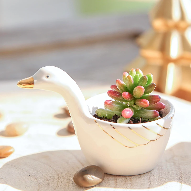 1 Piece Flower Pot Ceramic Vase Small Plant Cartoon Planter for Succulent Decorative Bonsai Home Garden Decoration | Дом и сад