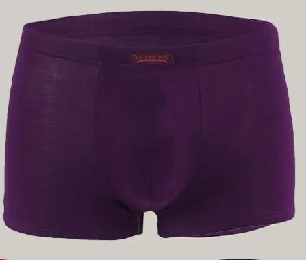purple 4 шт./лот, высококачественные боксеры из бамбукового волокна, модальное нижнее белье, Мужская коробка, большие размеры 3XL/4XL/5XL/6XL/7XL, мужские трусы-боксеры - Цвет: purple