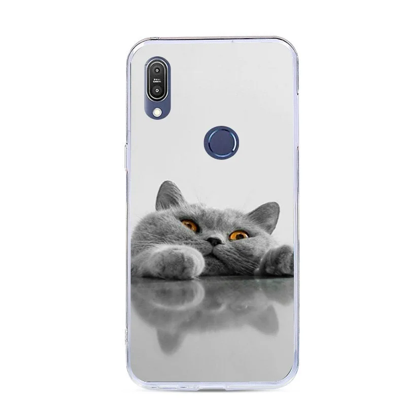 For Asus Zenfone Max Shot ZB634KL Case Silicone Soft TPU Painted Plus M2 Phone Back Covers Bag |