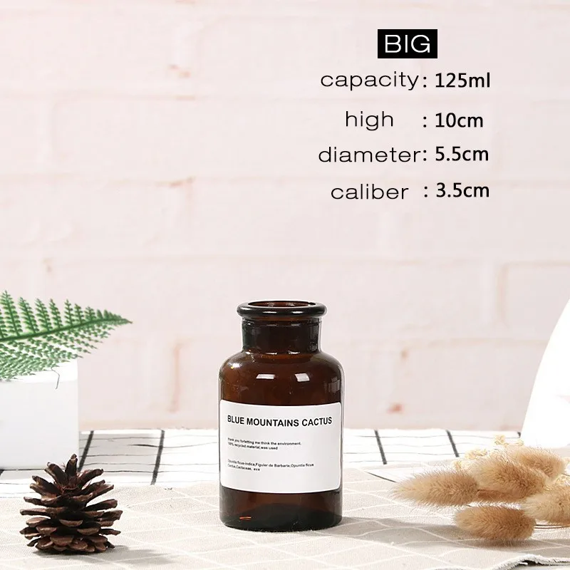 125ML A2 Скандинавская стеклянная ваза для дома, Креативные украшения, прозрачные сушеные цветы, гидропоники, маленькая коричневая бутылка, ваза, прикроватное украшение - Color: 125ML A2