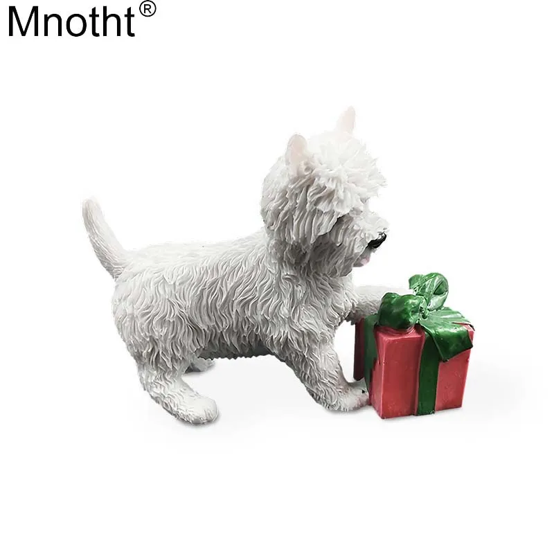 Collection Gift