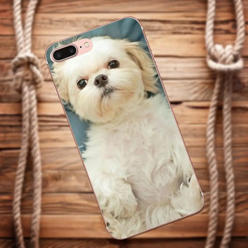 Vvcqod для samsung Galaxy A3 A5 A7 J1 J2 J3 J5 J7 2015 2016 2017 Мягкие TPU Капа Любовь довольно ши тцу