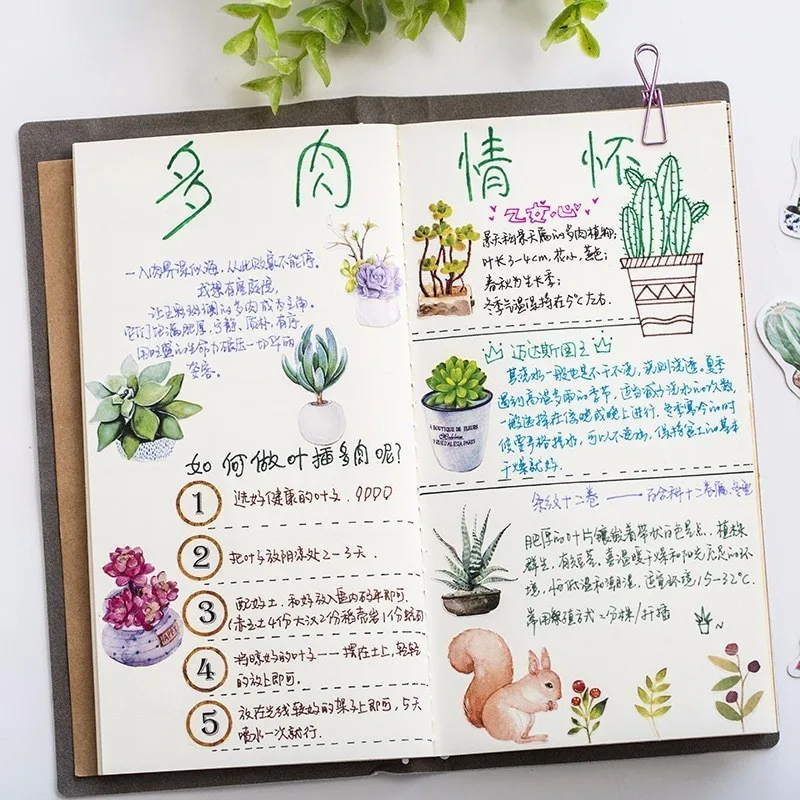 50 шт./кор. милые новые суккулентные растения дневник бумажная этикетка