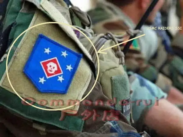 TSNK патчи для вышивки в стиле милитари любителей интерьера USMC/MARINE RAIDERS MARSOC|patch
