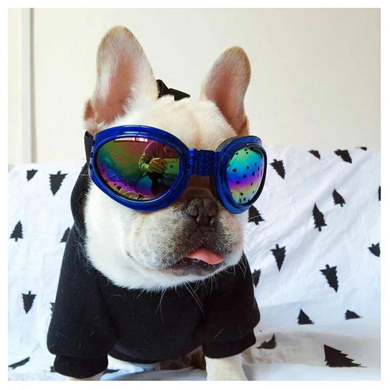 Модные изысканные солнцезащитные очки для питомцев и ветрозащитные зеркальные