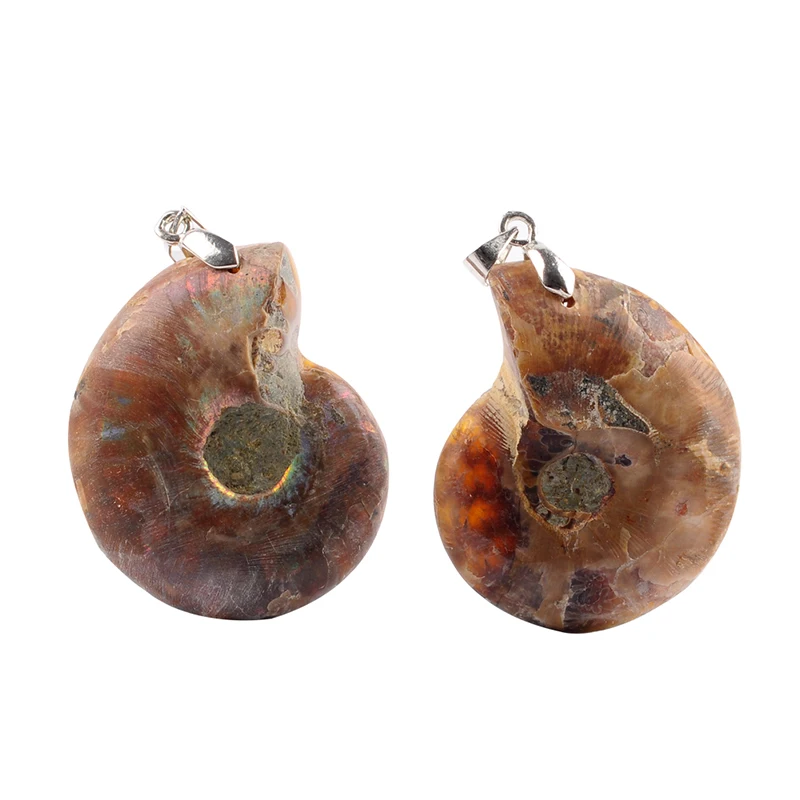 Модные ювелирные изделия натуральный аммонит осколочные ракушки морская