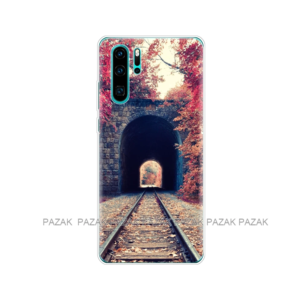 61382 Чехол-Бампер для Huawei P30 Pro, мягкий силиконовый чехол для телефона из ТПУ, задняя крышка для Huawei P30 Pro VOG-L29 ELE-L29 P 30 Lite, чехол с принтом - Цвет: 61382