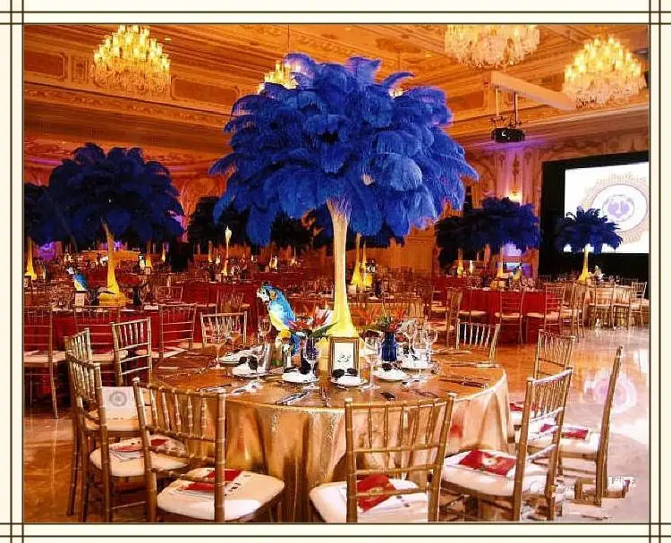 

ChengBright 100Pcs/Lot Royal blue Ostrich Feathers For Crafts 15-70CM Carnival Costumes Party Home Wedding Decorations Plumes