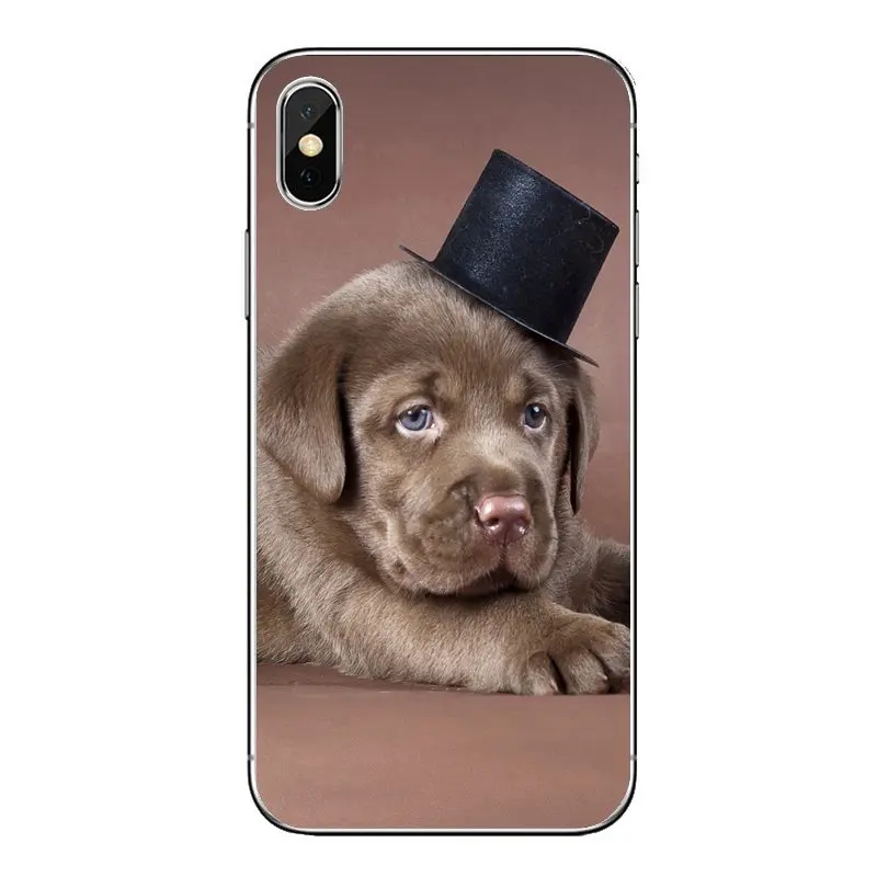 Забавные мягкие прозрачные чехлы для iPod Touch iPhone 4 4S 5 5S 5C SE 6 6S 7 8 X XR XS Plus MAX |
