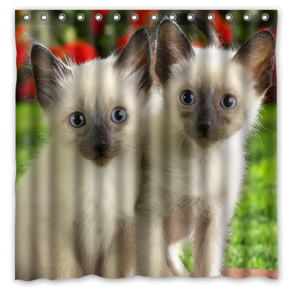 Пользовательские домашние занавески для ванной Ragdoll кошка водонепроницаемая