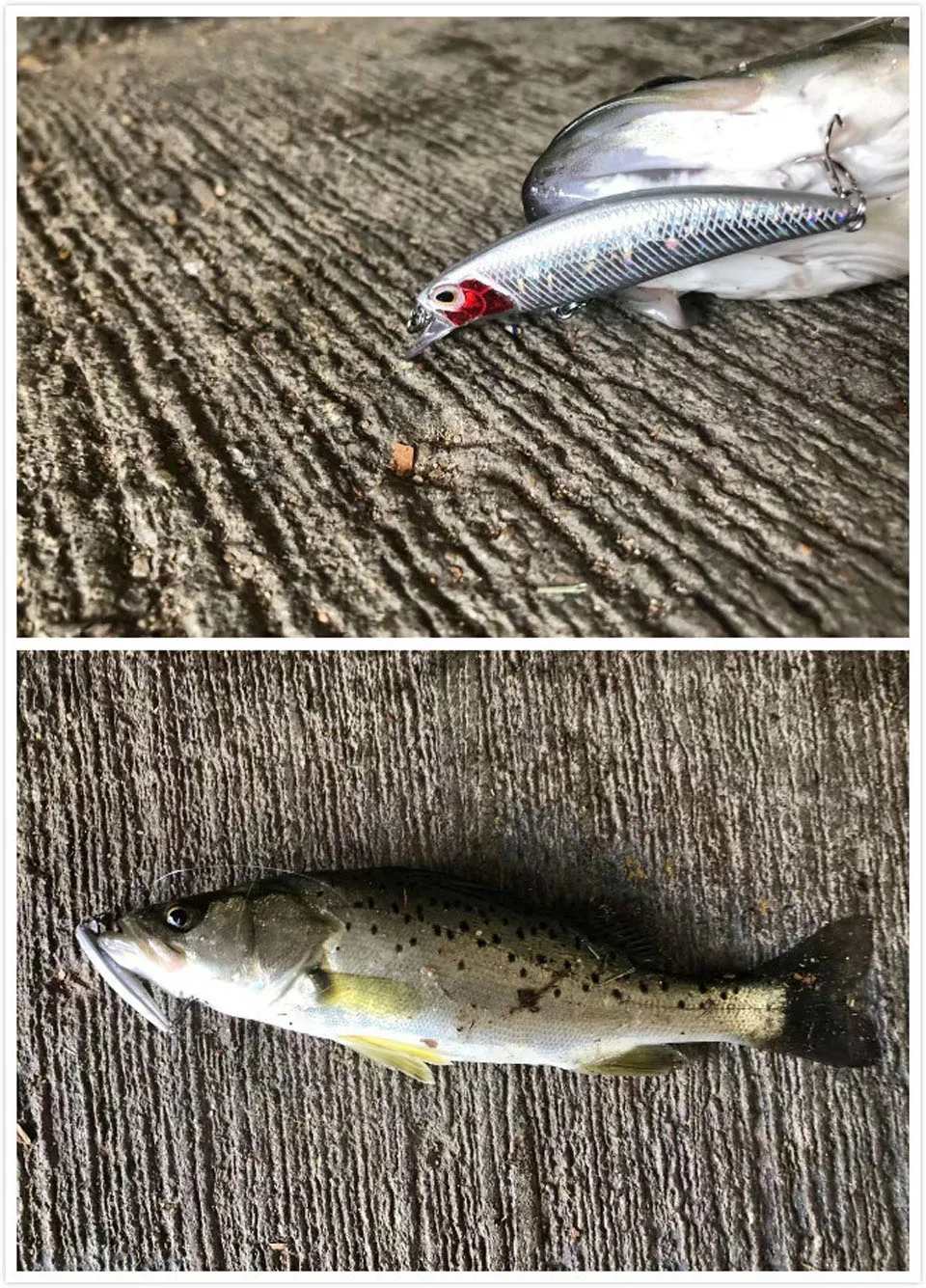 1 шт. мини-приманка для рыбной ловли Minnow, 60 мм, 5 г, высокое качество, вибрация, поворотная раковина, жесткая приманка, эффективные ледяные приманки японские рыболовные снасти