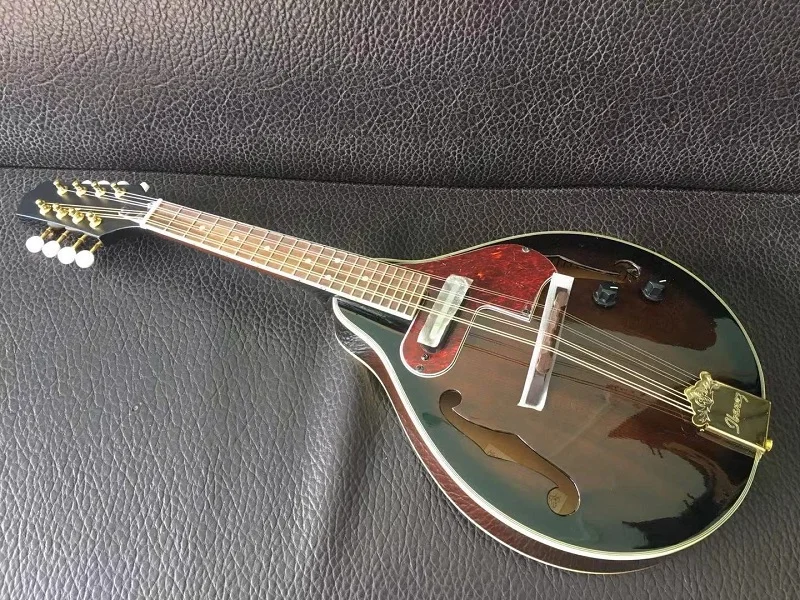Музыкальный инструмент Paulowni Sunburst с 8 струнами и жестким электрическим