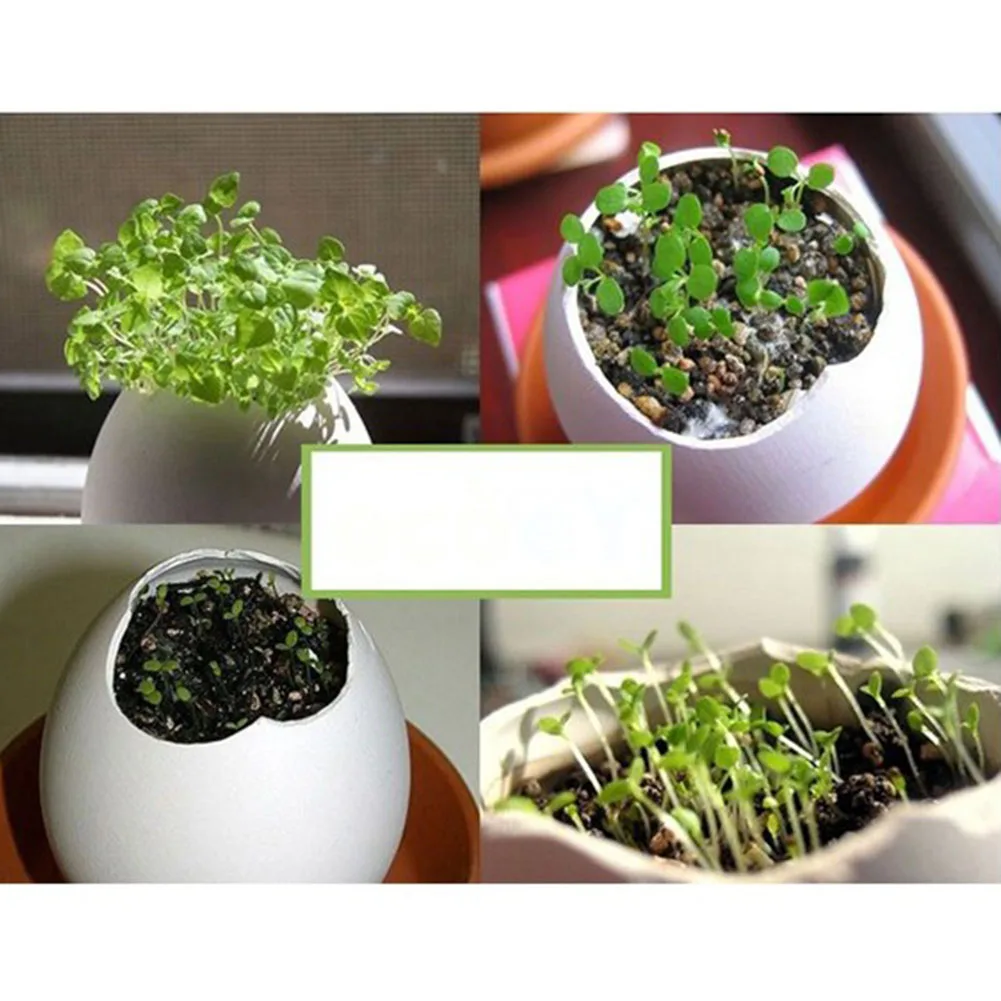 3 шт./компл. мини креативный DIY красивый декор счастливое яйцо в горшке растение