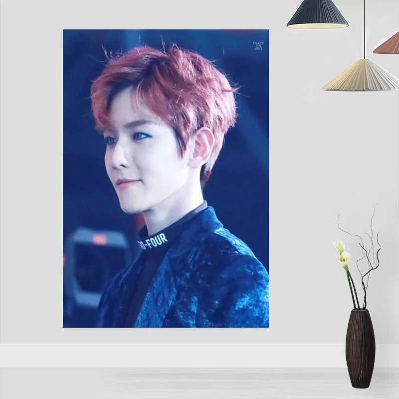 Modern Picture BAEK HYUN Poster Paintings For Living Room Wall Art Silk Fabric Cloth Decoration Children Gift | Дом и сад