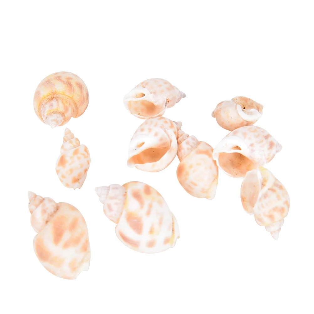 Натуральные пляжные разные морские ракушки Пляжная ракушка декор для стола