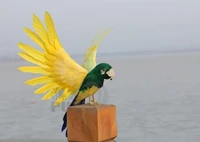 yellow feathers spreading wings bird parrot 30x55cmpolyethylenefurs handicraft figurines garden decoration toy gift a1909