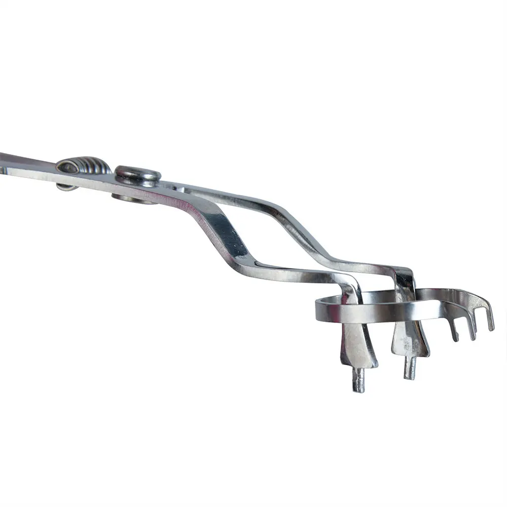 Стоматологическая Нержавеющая сталь жеруха лекарственная формирования