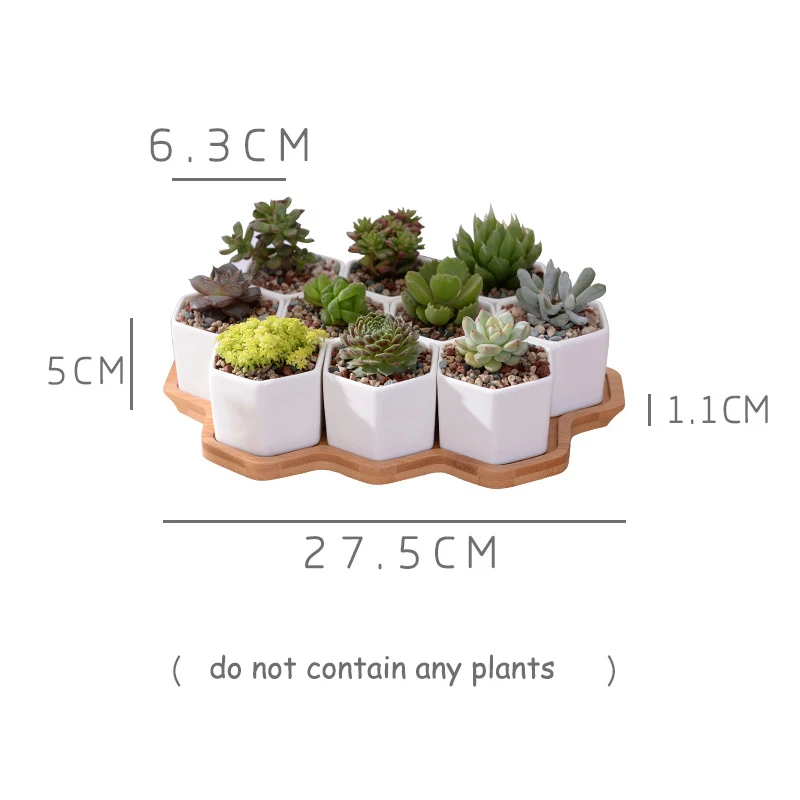 Набор из 10 шестигранных цветочных горшков белый керамический горшок для