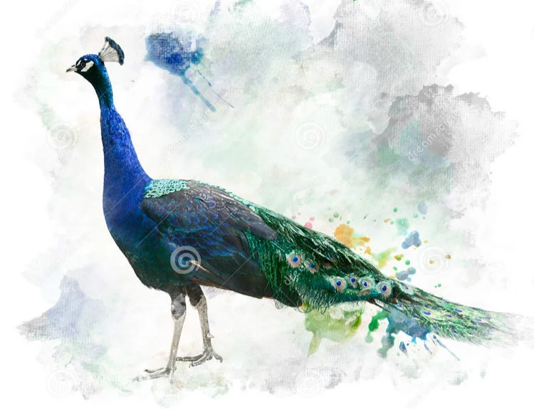 Двойной Павлин, цветок горшок реалистичные Peafowl украшение для сада композит сочные орхидеи горшечные растения горшок бонсай Плантатор цветочный горшок