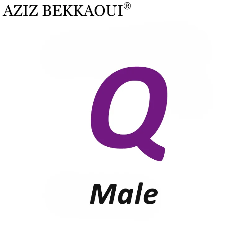 Male Q AZIZ BEKKAOUI Лето O-W дропшиппинг любовь подарок пара ювелирных изделий для женщин мужчин Любовь Сердце ювелирные изделия подарок на день Святого Валентина - Окраска металла: Male Q