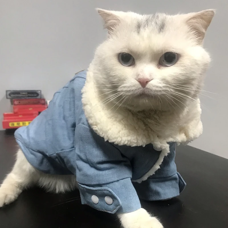 Теплый Хлопковый жакет с воротником Одежда для домашних животных котов кошек
