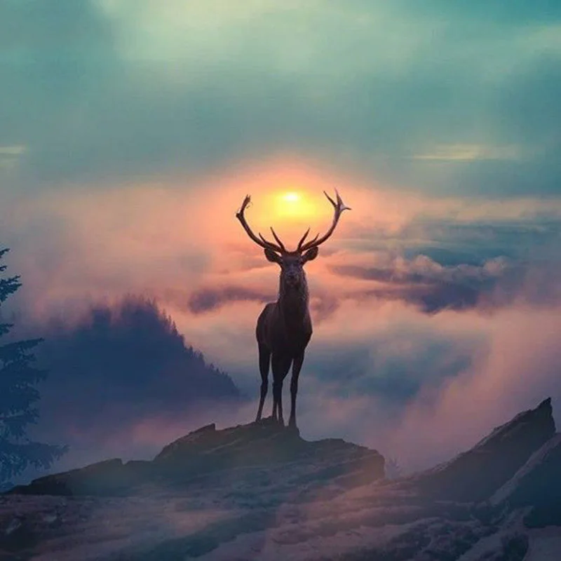 5D DIY алмазная живопись Лось Алмазная вышивка Moose Sunrise Вышивка крестом мозаика