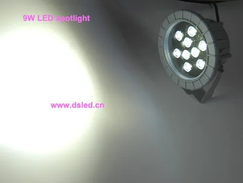 

Free shipping by DHL !! high power 9W LED projector light,outdoor LED spotlight,110V-250VAC,DS-06-20-9W,,2-Year warranty