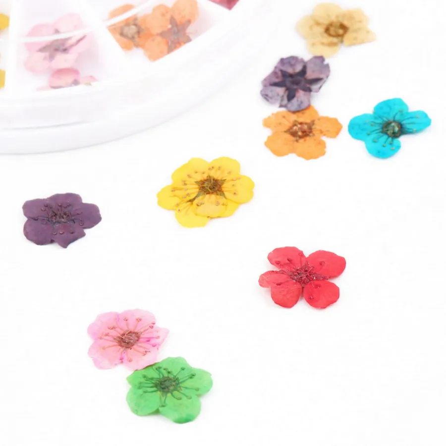 AddFavor натуральный высушенный цветок для ногтей художественное украшение