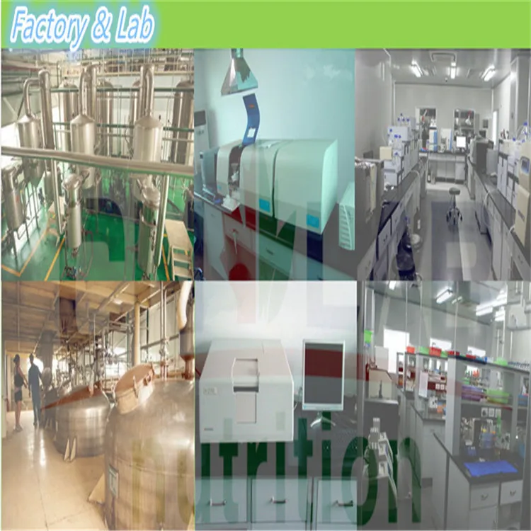 100% Чистые Органические Био-Экстракт Зеленого Чая для жасмин аромат |