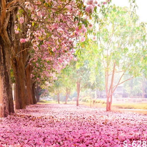 Фотофоны для студийной фотосъемки детей 5 х7 футов|background children|photography backdropsphotographic