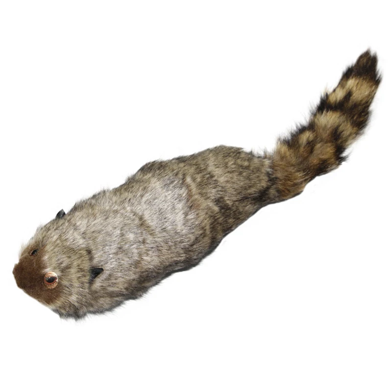 Енот Волшебная сцена уличные иллюзии мерцающие аксессуары реквизит забавная