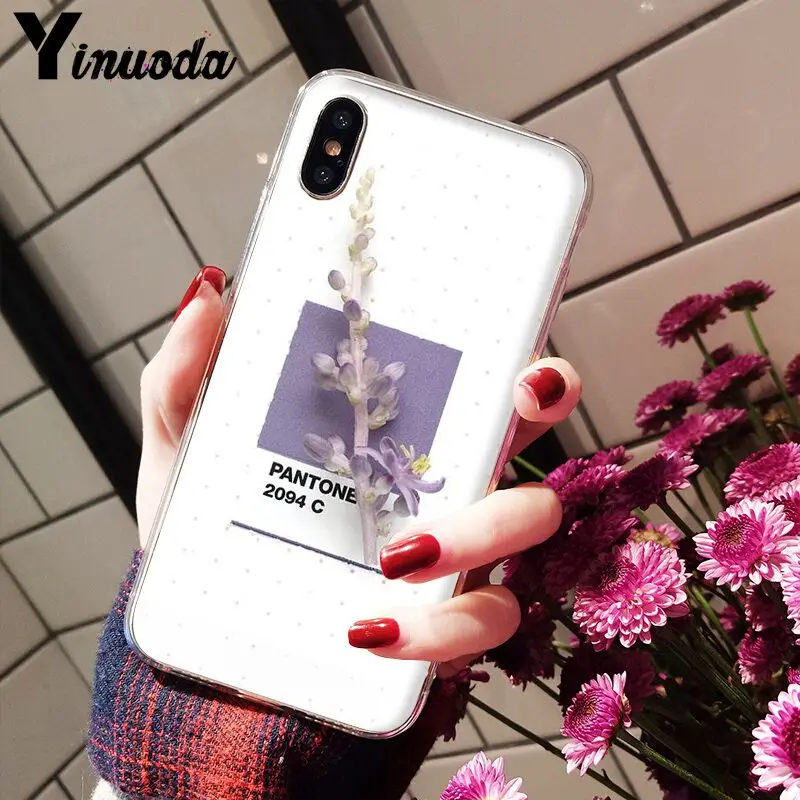 11pro MAX Pantone яркие цвета цветок Новое поступление Прозрачный чехол для мобильного