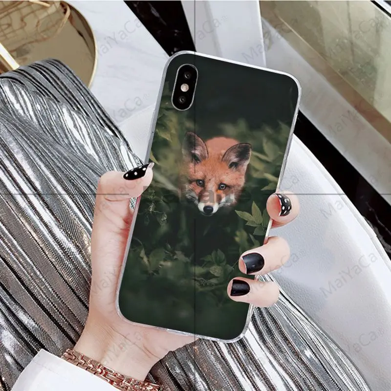 Babaite животное енот лиса красочные милые аксессуары для телефонов Чехол для iPhone X XS MAX 6 6S 7 7plus 8 8Plus 5 5S XR