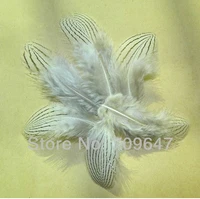 plumas decoracion 100pcslot 4 7cm hand selected silver pheasant body plumage feathers natural white black flyfishingcraft