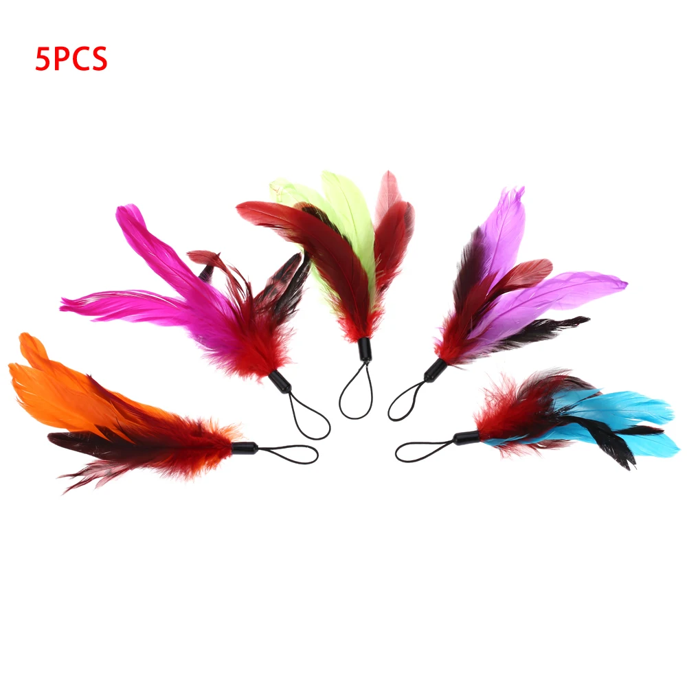 5 шт. нетоксичные натуральные цветные длинные перья для домашнего питомца
