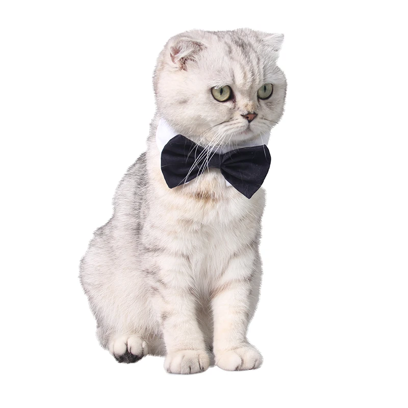Домашнее животное кошка собака в виде симпатичного черного галстук бабочка B006|dog