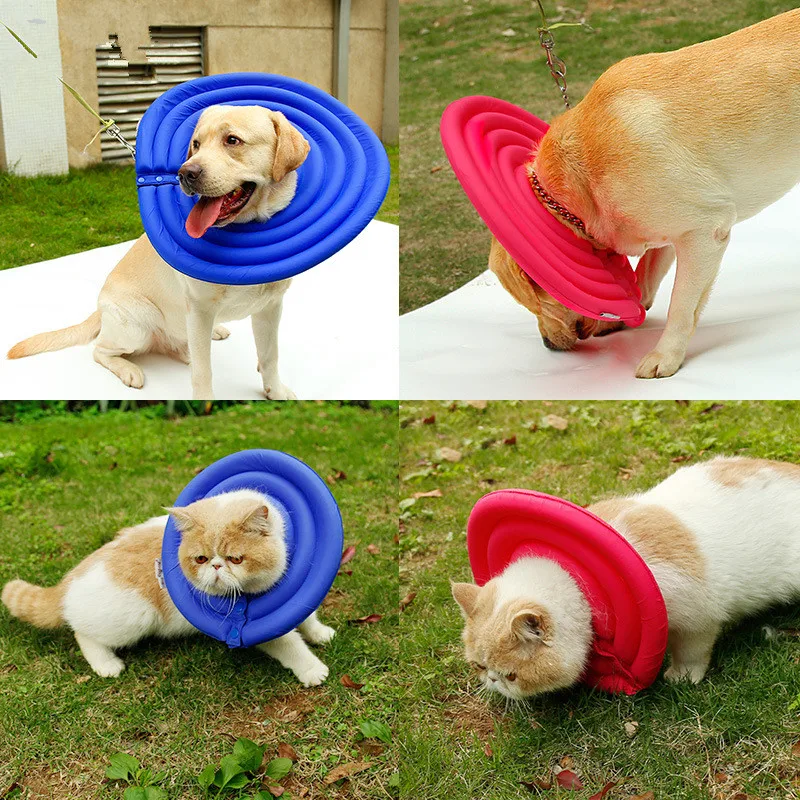 Ошейник для собак и кошек нейлоновый защитный ошейник из пены мягкий с