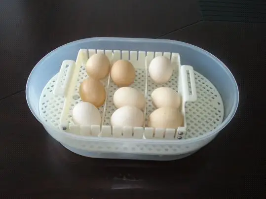 Хорошее Качество с самым лучшим обслуживанием автоматическая яйцо