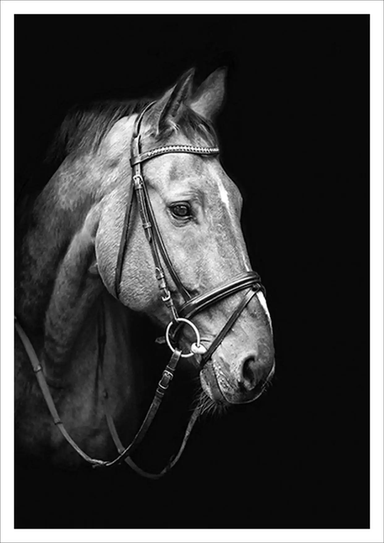 Слон Лев Олень лошадь Гепард фото холст картины винтажные стены крафт постеры