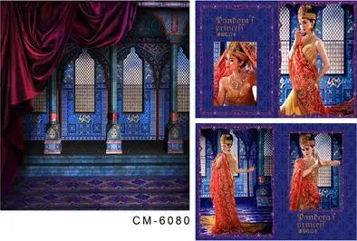 PP background 3x5m Костюм индийской принцессы Анны в экзотическом стиле сари для фотографии или сценического шоу Hanfu - Цвет: PP background 3x5m