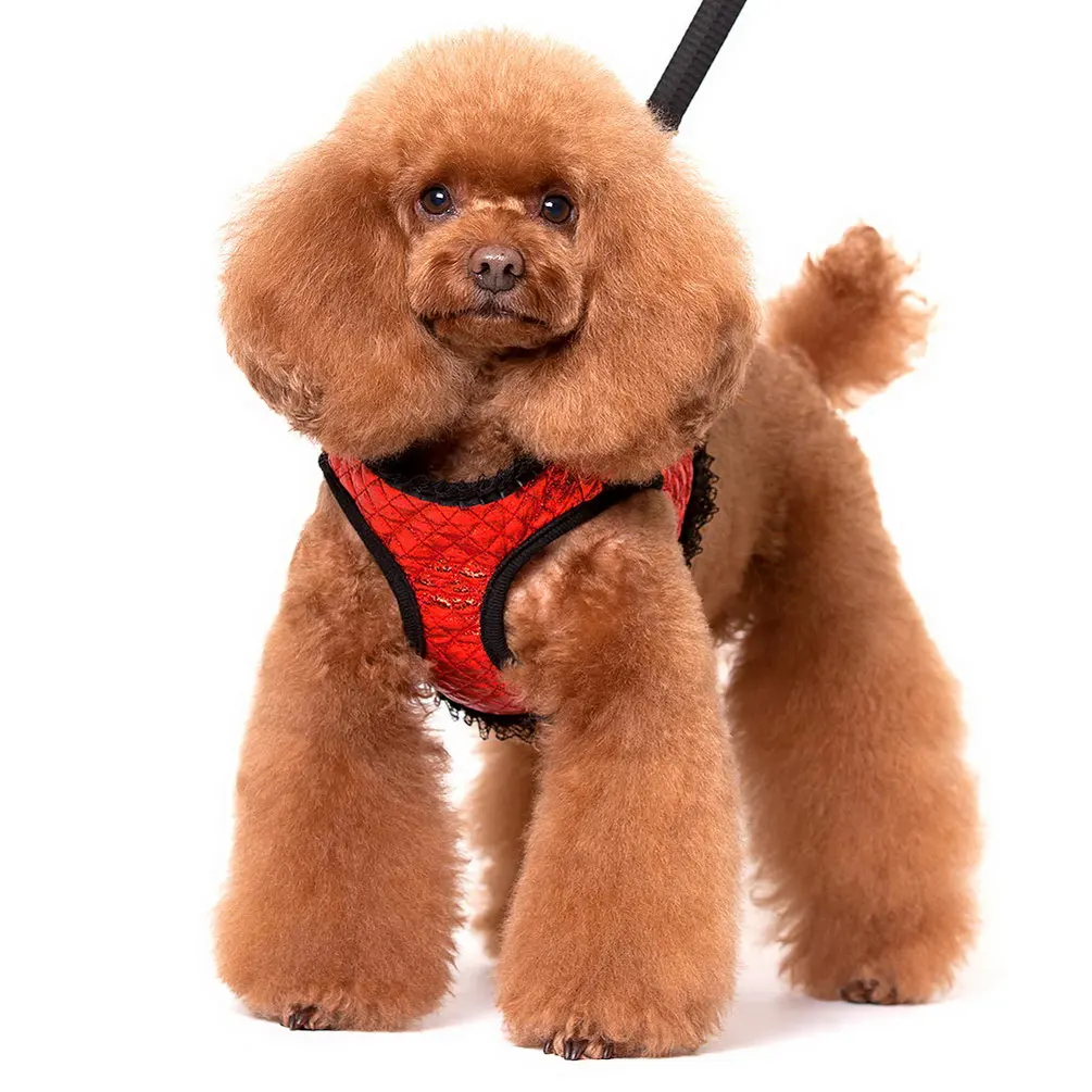 Регулируемый жилет-поводок для домашних животных набор маленьких собак кошек