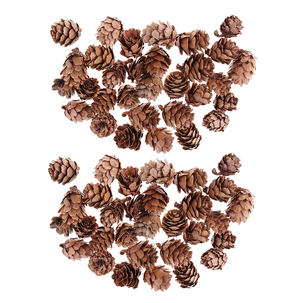 60 шт. миниатюрные Натуральные сушеные сосновые шишки оптом украшение для